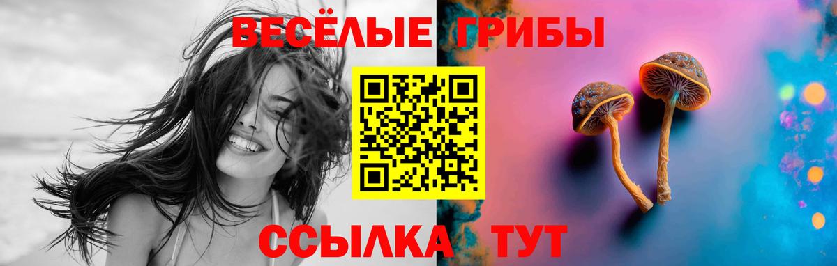 Псилоцибиновые грибы MAGIC MUSHROOMS  Галлюциногенные грибы Magic Shrooms  Арзамас  Вход с VPN 